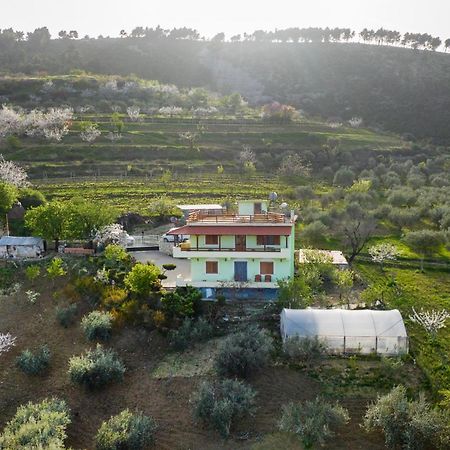 Vila Dean Berat Exterior foto