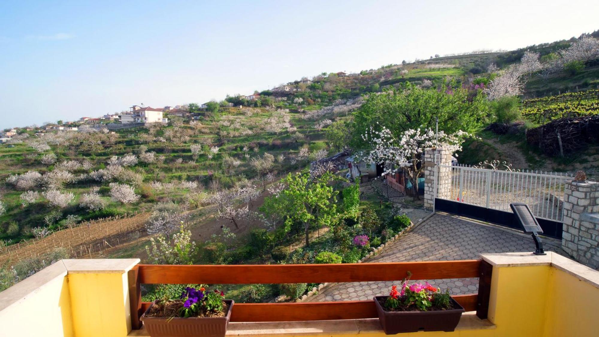 Vila Dean Berat Exterior foto