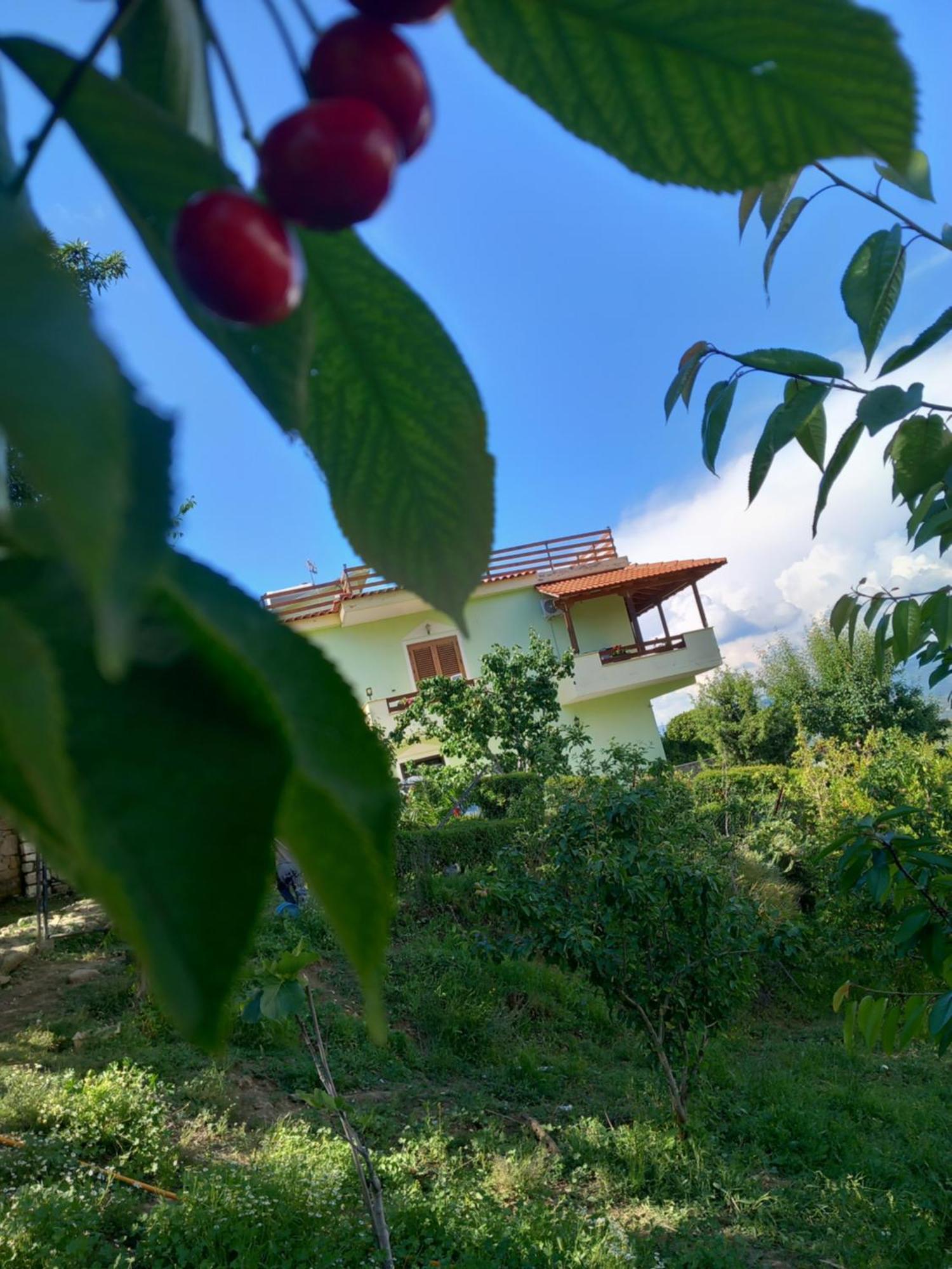 Vila Dean Berat Exterior foto